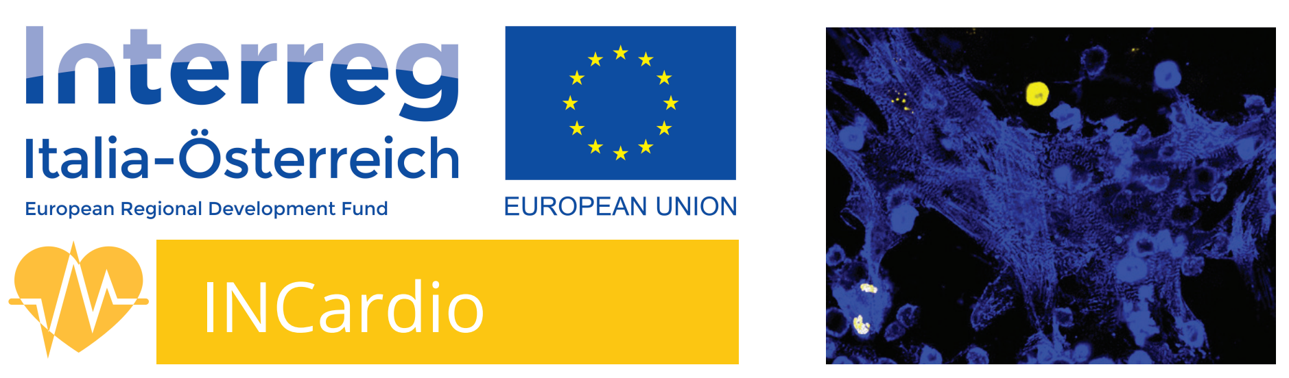 INCardio