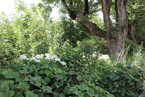 grüne Inseln in der Stadt
