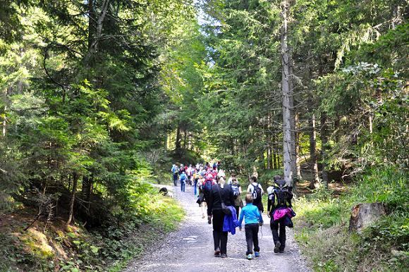 21.09.2013_Programmi Interreg_Camminata sul Monte Forno