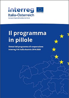 Il programma in pillole